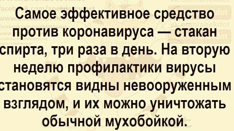 Самое эффективное средство против коронавируса стакан спирта три раза в день На вторую неделю профилактики вирусы становятся видны невооруженным взглядом и их можно уничтожать обычной мухобойкой