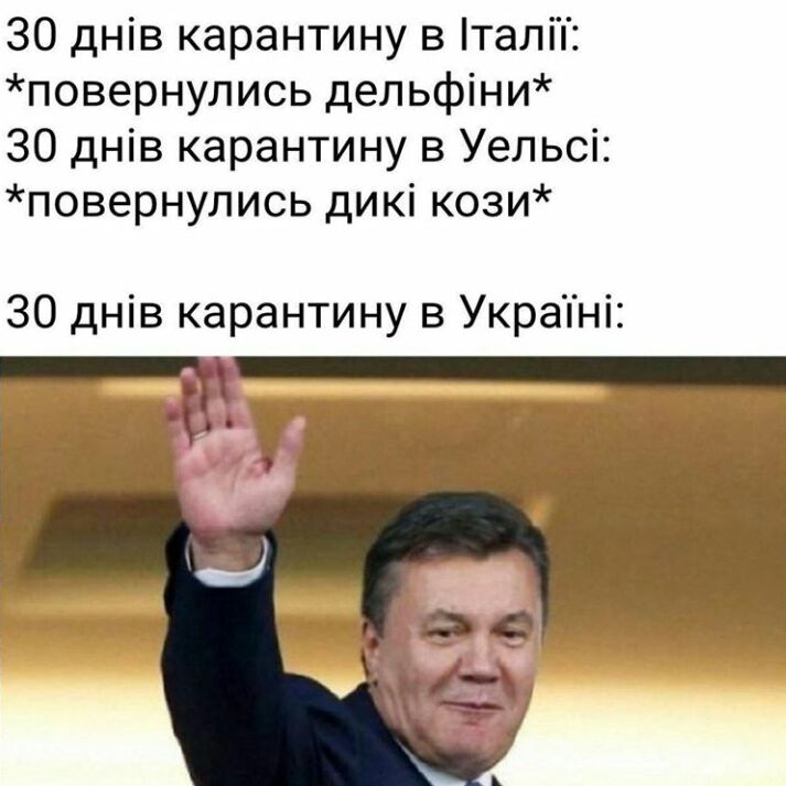 ЗО днів карантину в талі повернулись дельфіни 30 днів карантину в Уельсі повернулись дикі кози ЗО днів карантину в Украпні