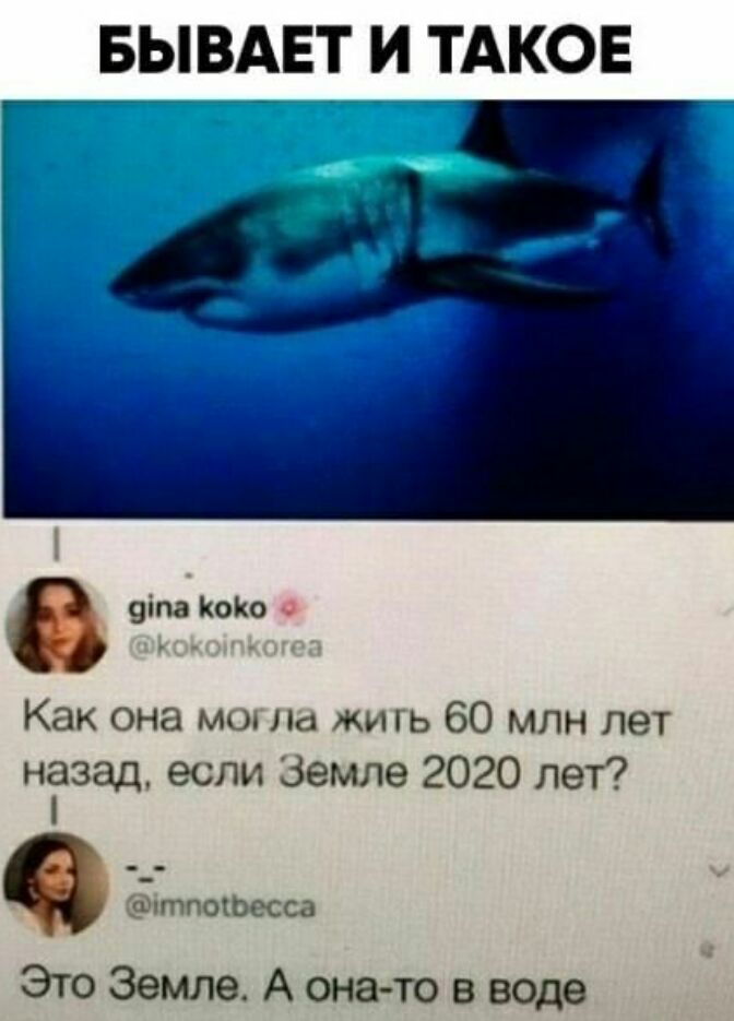 БЫВАЕТ И ТАКОЕ 9іпа Копэ 4 Как она могла жигь 60 млн лет ніазад если Земле 2020 лет тпофесса ЭтоЗемлеАона товводе