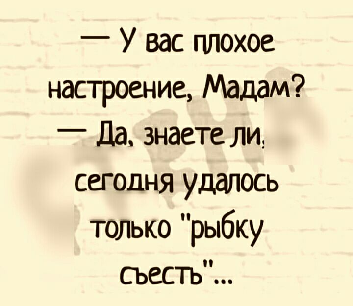 У вас плохое настроение Мадам _ Да знаете ли сегодня удалось только рыбку съесть