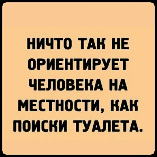 НИЧТО ТАК НЕ ОРИЕНТИРУЕТ ЧЕЛОВЕКА НА МЕСТНОСТИ НАН ПОИСКИ ТУАЛЕТА