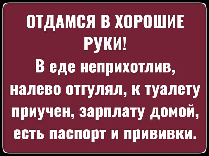 отдАмея В Х0Р0ШИЕ РУКИ В еде неприхотлив налево оттулял к туалету приучен зарплату домой ееть паепорт и прививки