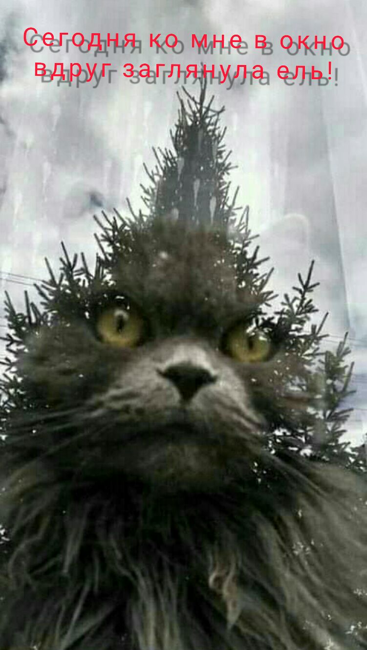 л ті ВД зани К з