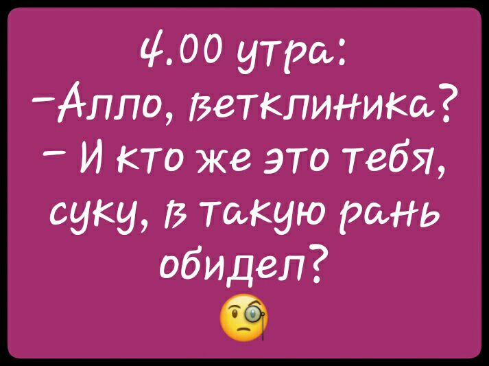 400 утра АЛЛО Ветклиники И кто же это тебЯ суку В такую рань ОБИДеп