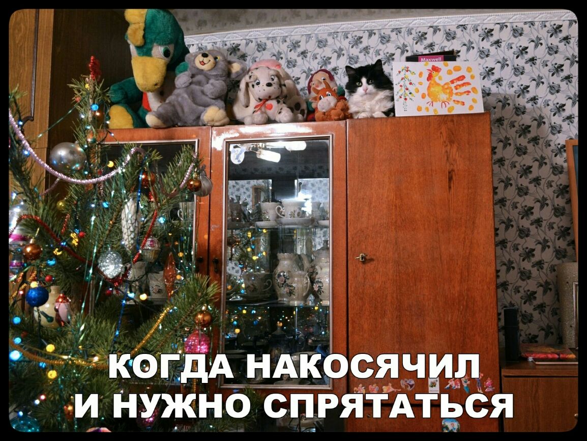 и й __ дь _ __г тгкогдд НАКОСЯЧЁЩ _ гд _И_ НУЖНО СПРЯТАТЬСЯ