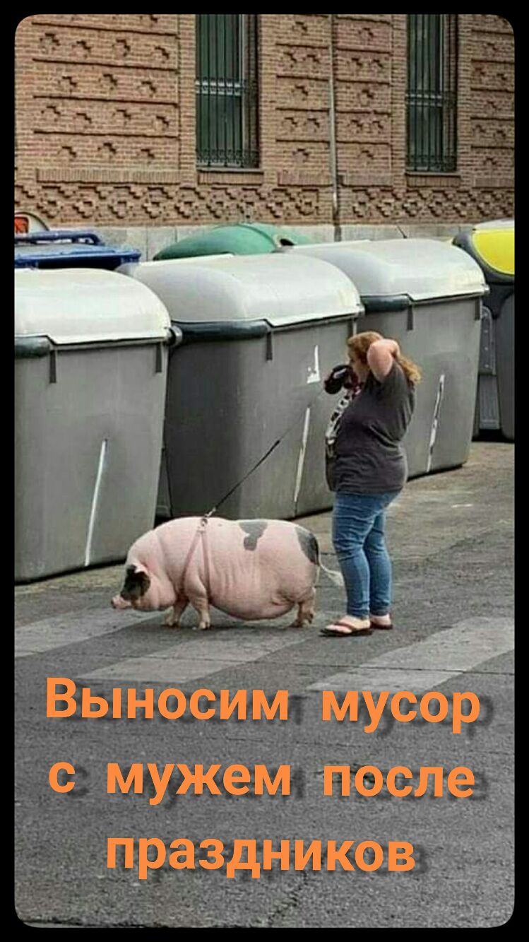 1 434 541312 Муцб 343 іъьіьйёг