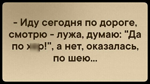Иду сегодня по дороге смотрю лужа думаю Да по о а нет оказалась по шею