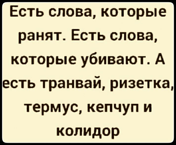Есть слова которые ранят Есть слова которые убивают А есть транвай ризетка термус кепчуп и колидор