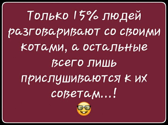 ТОЛЬКО 5 людей разгадаритют со своими котами остаЛЬНЫе всего лишь прислуШИюются к их советом