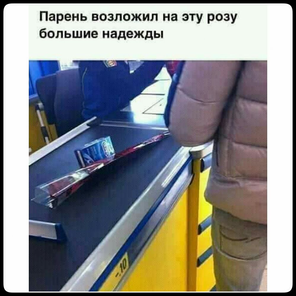 Парень возложил на эту розу большие надежды