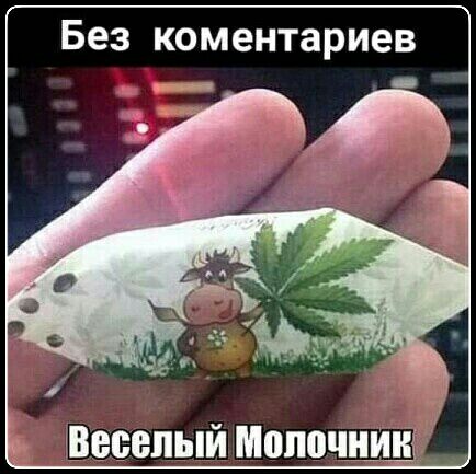 Без коментариев