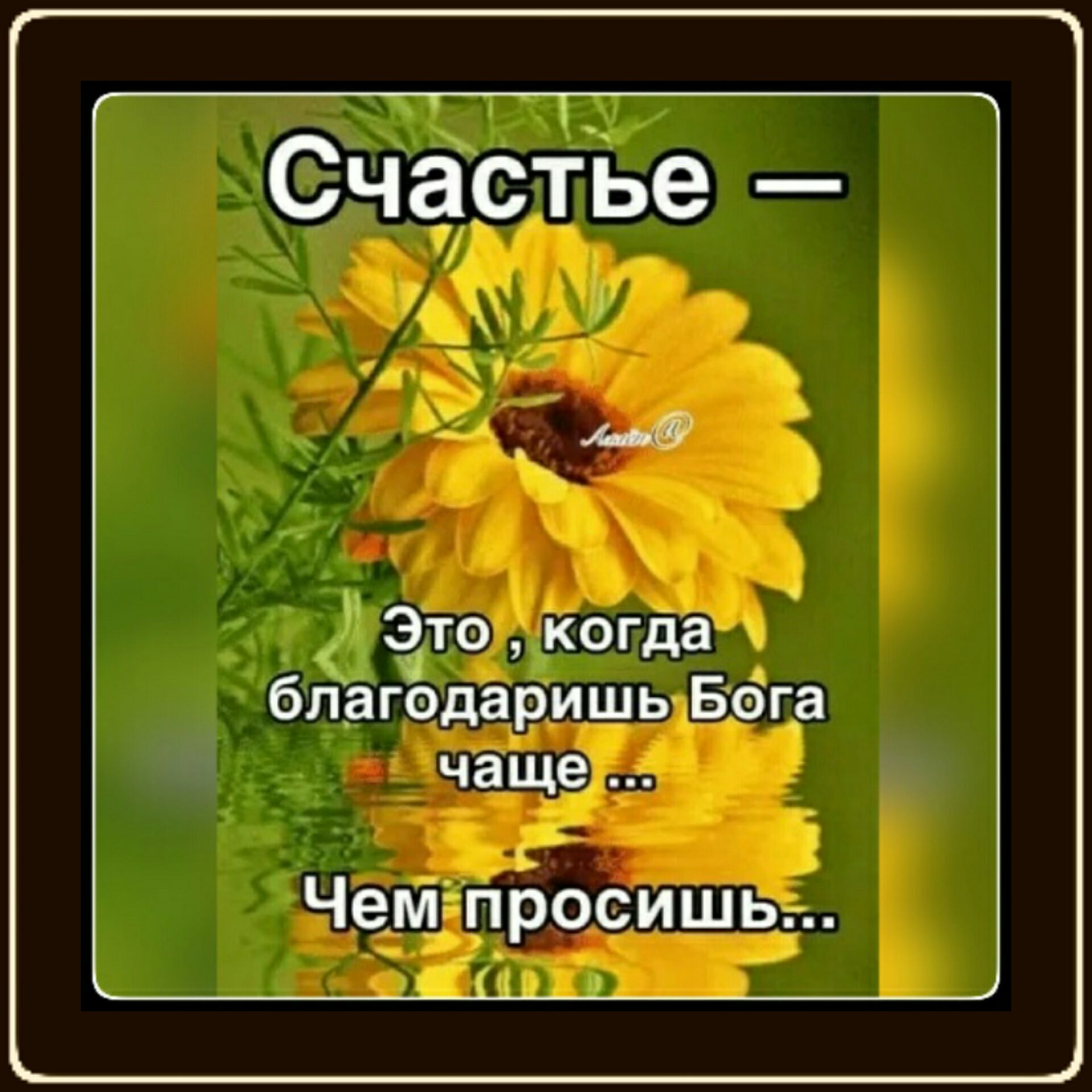 Счастье Это когда благёдаришь Бага чаще Чем просишь