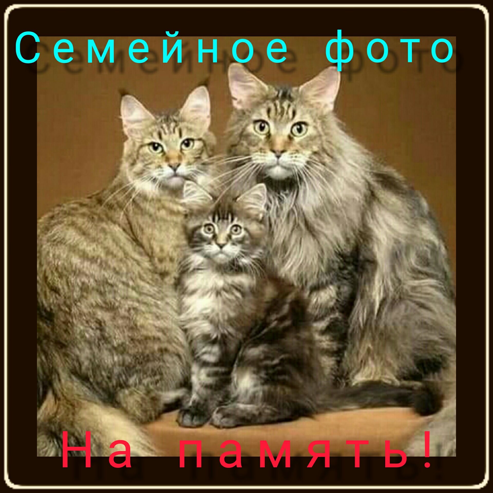 Семейн е