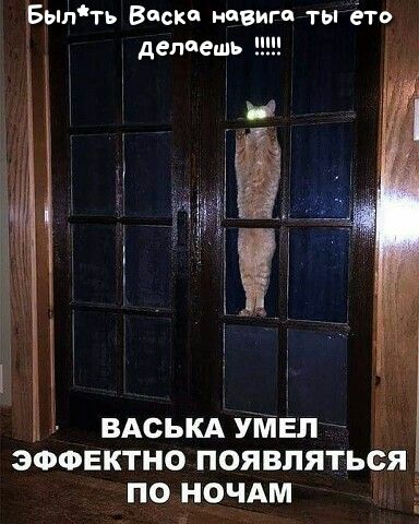 _Былть Виски навигп ты ето дела ешь ВАСЬКА УМЁП С ЭФФЕКТНО ПОЯВЛЯТЬФЯ ПО Н_ОЧАМ