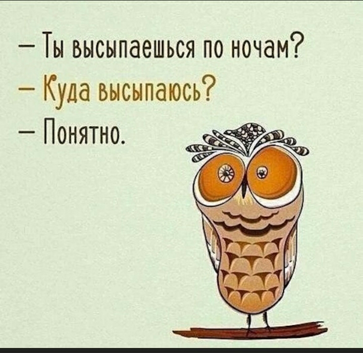 Ты высыпаешься по ночам Куда высыпаюсь Понятно