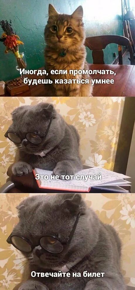Иногда есіі ц Ёфопч будешь каЕ за изфім мне Отвечаите на билет а