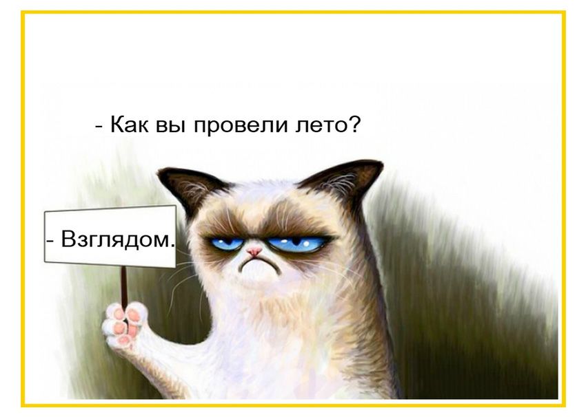 Как вы провели лето