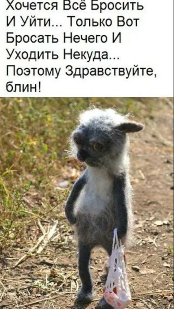 И Уйти Только Вот Бросать Нечего И Уходить Некуда Поэтому Здравствуйте