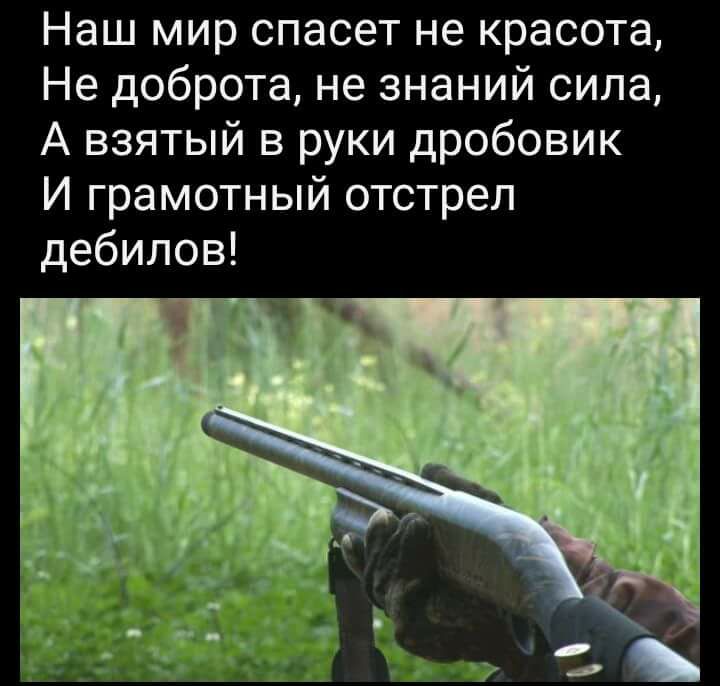 Наш мир спасет не красота Не доброта не знаний сила А взятый в руки дробовик И грамотный отстрел дебилов