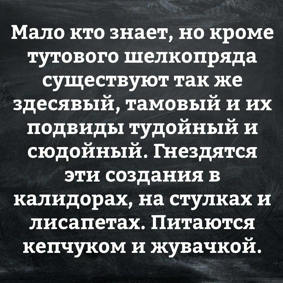 Мало кто знает но кроме тутового шелкопряда существуют так же здесявый тамовый и их подвиды тудойный и сюдойный Гнездятся эти создания в калидорах на стулках и лисапетах Питаются кепчуком и жувачкой