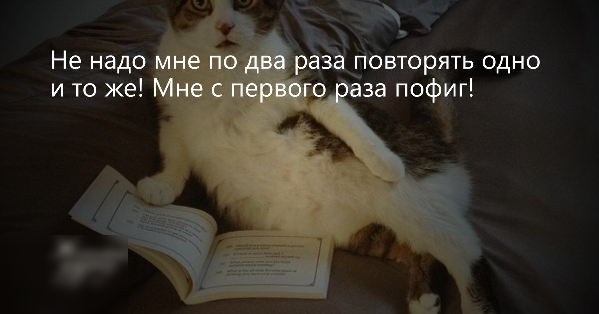 Ну сколько мне повторять. Не надо мне 2 раза повторять. Мне два раза повторять не надо мне и с первого раза. Нам ЛВА раза повторять ненадо. Не надо 2 раза повторять мне и с первого пофиг.