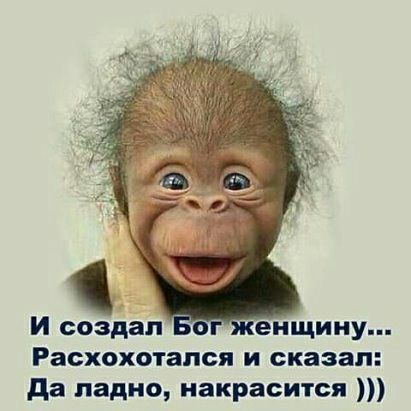 Расхохотапся и сказал да ладно накрасится