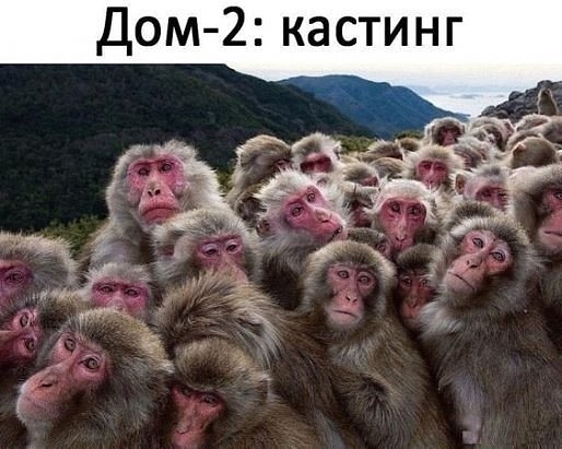 Дом 2 кастинг