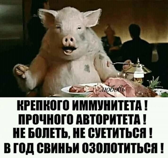 НРЕШЮШ ИММУНИТЕТ ПРПЧНПШ АВЮРИТЕТА НЕ БППЕТЬ НЕ ШЕТИТЬВЯ В год СВИНЬИ ВЗПППТИТЬВЯ