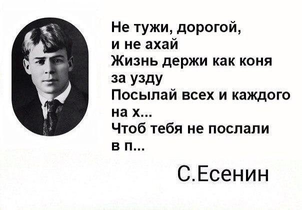 Не тужи дорогой и не ахай Жизнь держи как коня 33 УЗДУ Посыпай всех и каждого на х Чтоб тебя не послали в п СЕсенин