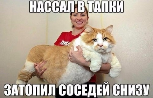 зшйій ип Лёдшійі и _