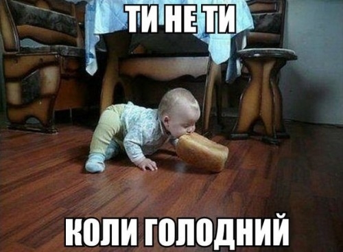 ШШ ППШДНИЙ