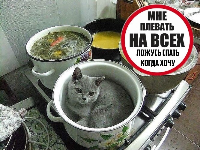 ц МНЕ ППЕШПЪ ППЖУЕЬ ПМЬ КПЩА ХПЧУ