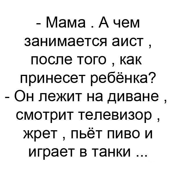 Мама А чем занимается аист после того как принесет ребёнка Он лежит на диване смотрит телевизор жрет пьёт пиво и играет в танки