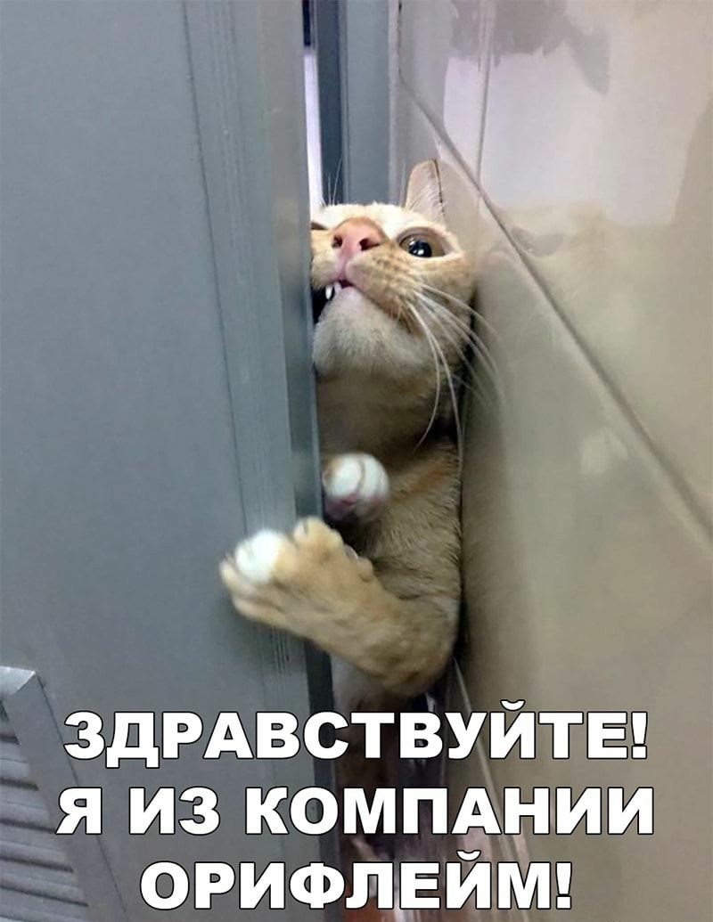 ЗдРАВСТВУЙТЕ я из компАнии ОРИФПЕЙМ