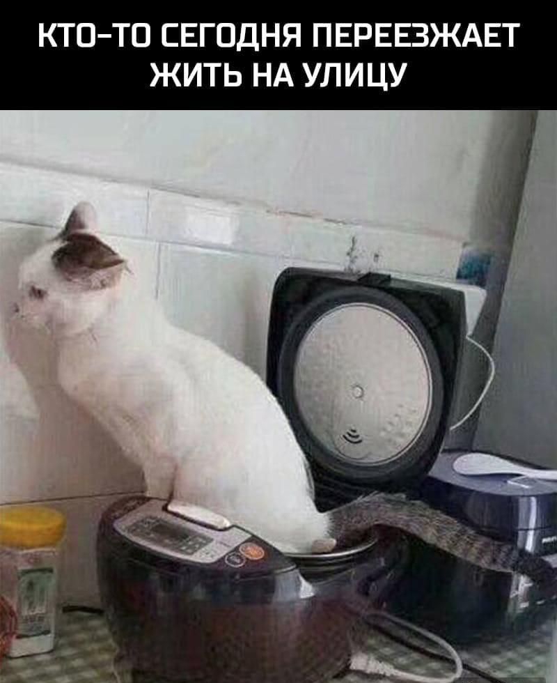 КТОТО СЕГОДНЯ ПЕРЕЕЗЖАЕТ ЖИТЬ НА УЛИЦУ