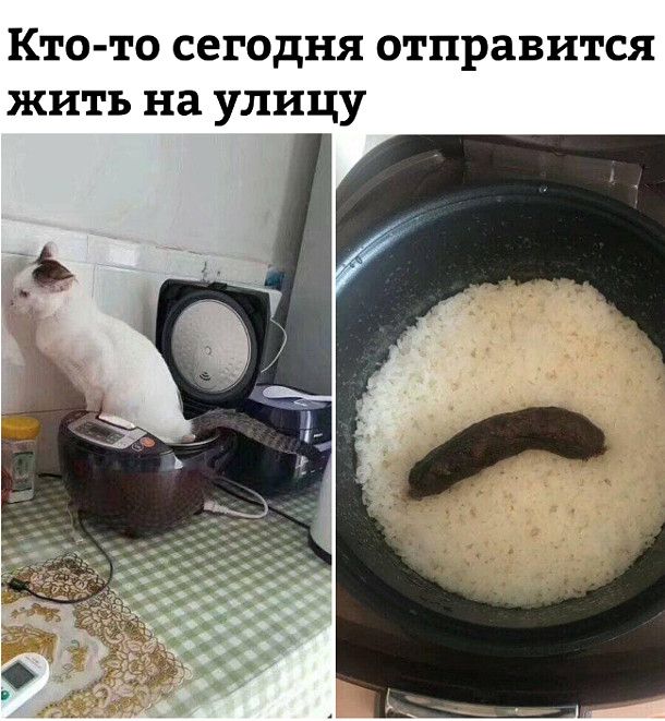 Кто то сегодня отправится жить на улицу