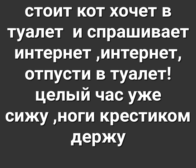 стоит кот хочет в туалет и спрашивает интернет интернет отпусти в туалет целый час уже сижу ноги крестиком держу