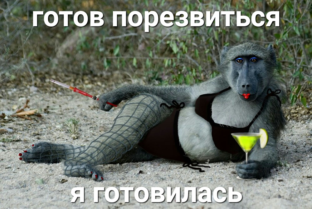 готовпсръе __