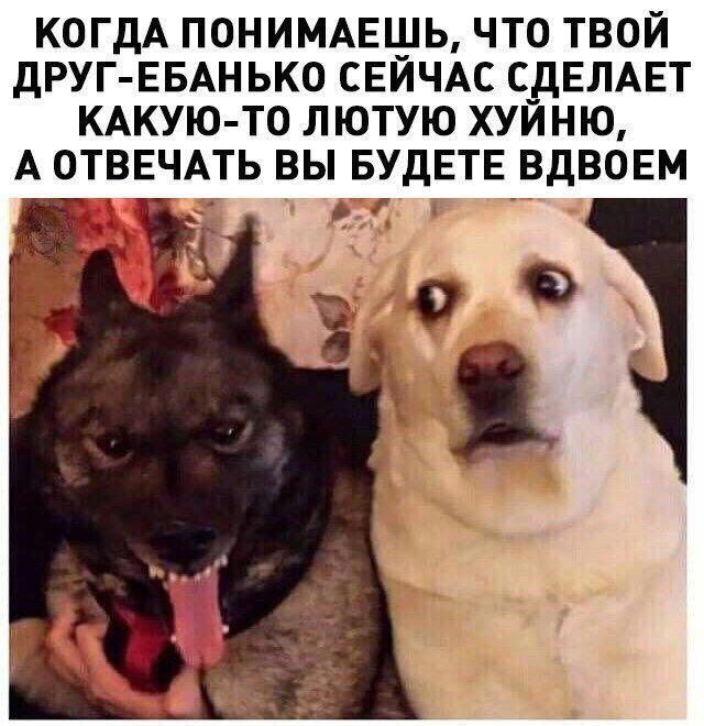 КОГДА ПОНИМАЕЩЬ ЧТО ТВОЙ ДРУГ ЕБАНЬКО СЕИЧАС С__ДЕЛАЕТ КАКУЮ ТО ЛЮТУЮ ХУИНЮ А ОТВЕЧАТЬ ВЫ БУДЕТЕ ВДВОЕМ