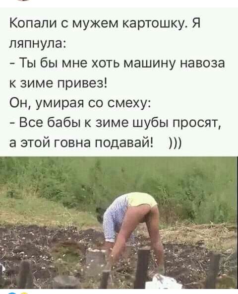 Копали мужем картошку Я ляпнупа Ты бы мне хоть машину навоза к зиме привез Он умирая со смеху Все бабы зиме шубы просят а этой говна подавай