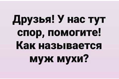 друзья У нас тут спор помогите Как называется муж мухи