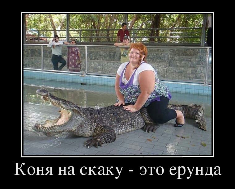 Коня на скаку это ерунда