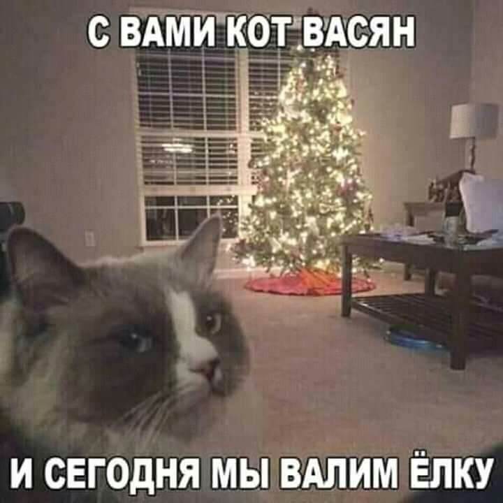с вт и к ЁЁвцян и сегодня мы ВА2ЛИМ Ёлку