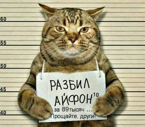 а РАЗБИА Аифонт 72 _ за 89тысяч