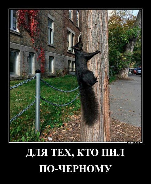 ДЛЯ ТЕХ КТО НИЛ ПО ЧЕРНОМУ