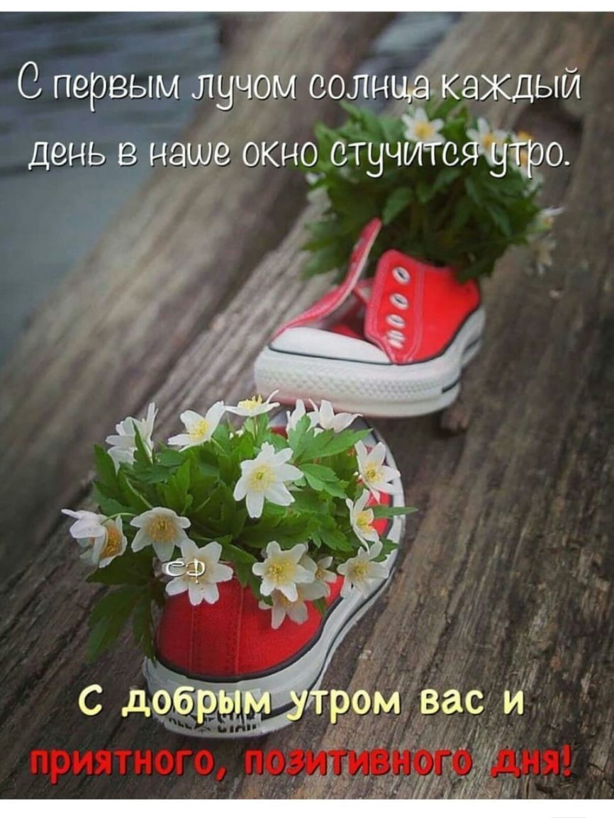 у С первым 5131 м соЛнЁкаждыи день вище окноСтуч 3390 і