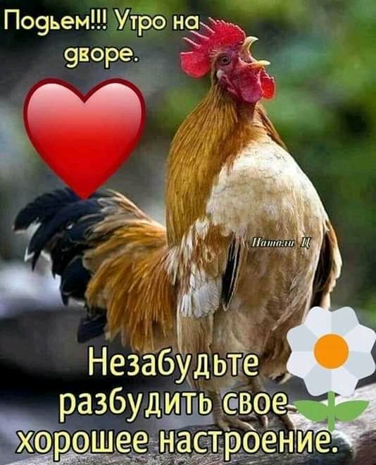 По9ьем Утро ном форе 3_ НезабуД разбу _ ХФРЭШЕЕЁНЗС