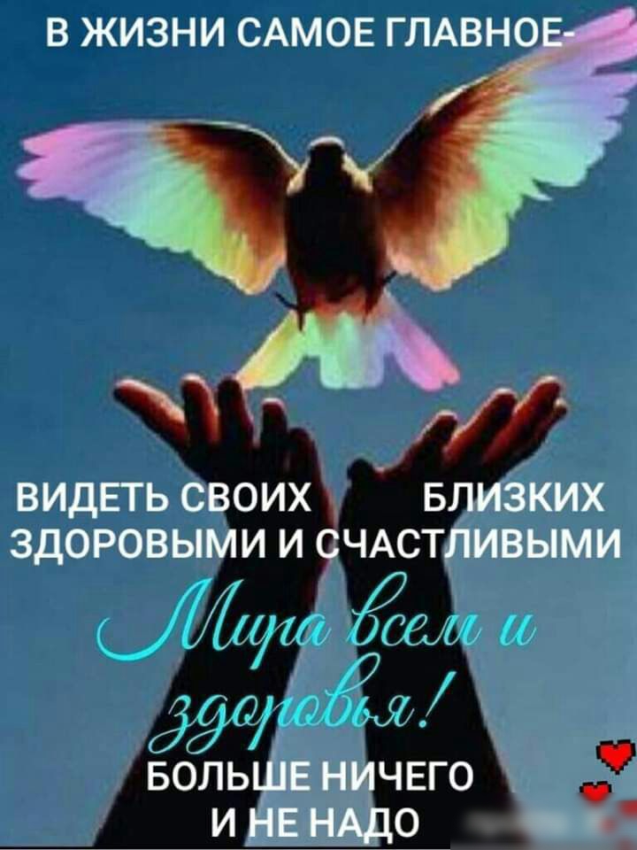 1 ТЁИЁНИИ іЁАМ ОЕ ГЛАВНО видь гьсм здоровы