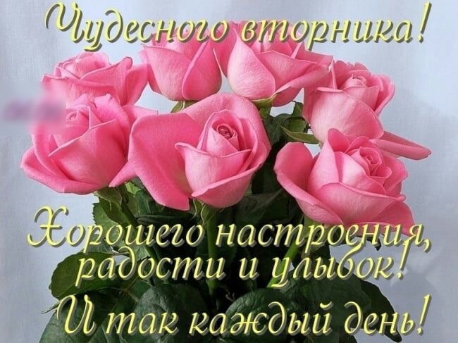 ШШ тнгШ вторнищ гг 7 3 950 ЪЦЁЕО наст ЧЁЦ раддсти и иль На так каждый д и