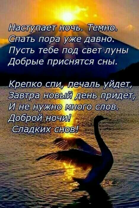 наетчает нэчь Гемнэь Спать пора уже Давно Пусть тебе под свет луны Добрые приснятся сны Крепко спи печаль уйдет Доброй ночи сладких синева _